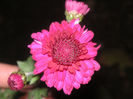 SANY0046