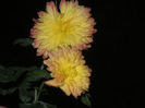 SANY0049