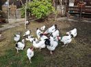 DSC01506