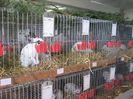 ausstellung_nov13_ 065