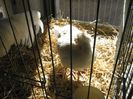 ausstellung_nov13_ 070