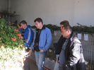 ausstellung_nov13_ 071
