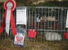ausstellung_nov13_ 077