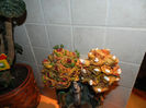 DSCN6163