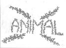 Animal X