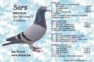 SARS- Jos Thone