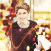 15 - 11 - 2013 - DAY 11 - Niall Horan