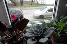 SAM_1627