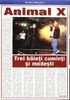 Animal X