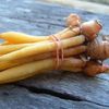 BOESENBERGIA PANDURATA-