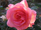 P1018670