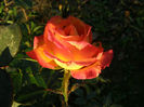 P1018672