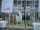 DSC08526