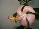 DSC05959