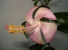 DSC05958
