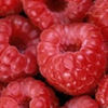 avatare_mancare_349