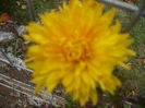 P1050406