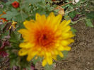 P1050405