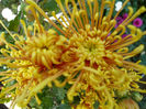 P1050482