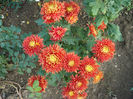 P1050488