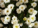 P1050507