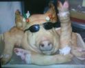 images (11)
