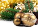 shutterstock_40108846