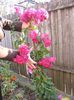 DSCF0023