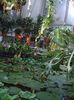 Jibou 17.11.2013 113