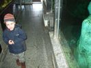 Jibou 17.11.2013 187