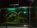 Jibou 17.11.2013 189
