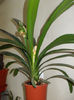 DSCN0546