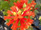 DSCN3711