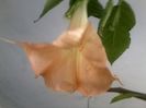 Fotografie9259