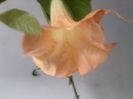 Fotografie9262