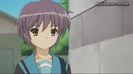 yuki 14