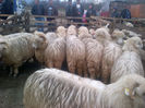 IMG-20131110-00868