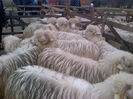 IMG-20131110-00869