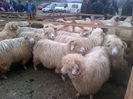 IMG-20131110-00870