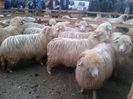 IMG-20131110-00871
