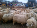 IMG-20131110-00872