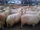 IMG-20131110-00873