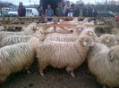 IMG-20131110-00874