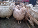 IMG-20131110-00875