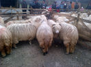 IMG-20131110-00876