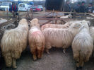 IMG-20131110-00877