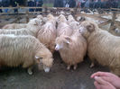 IMG-20131110-00880