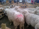IMG-20131110-00883