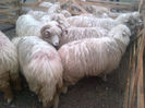 IMG-20131110-00885