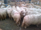 IMG-20131110-00886